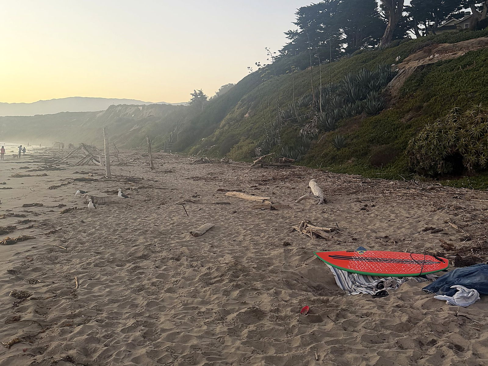 A red surfboard resting on a towel on an empty Santa Barbara beach at golden hour, driftwood and a cypress bluff behind it.