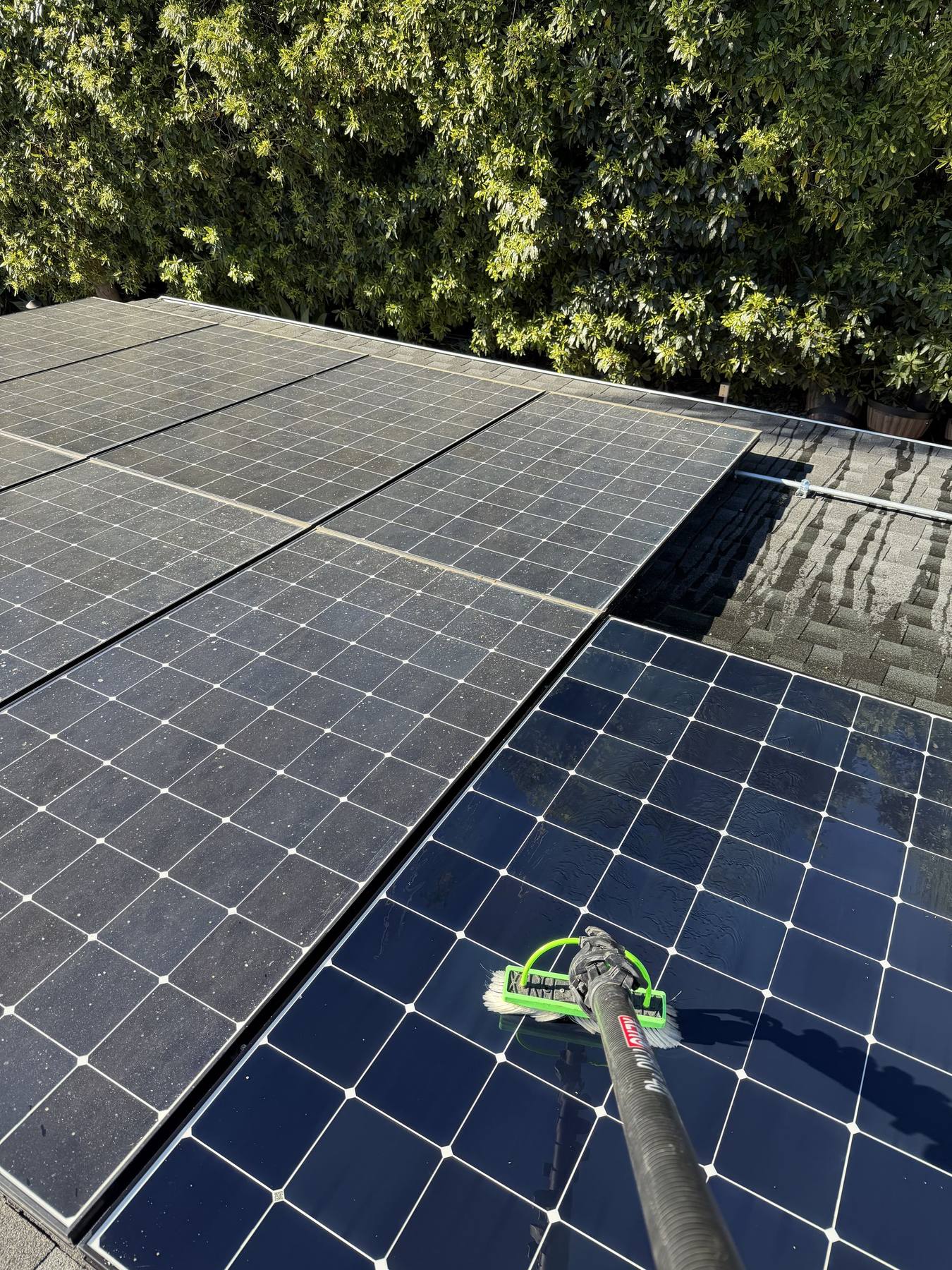 Rooftop solar panels dulled by a season of hillside dust and pollen, before cleaning.