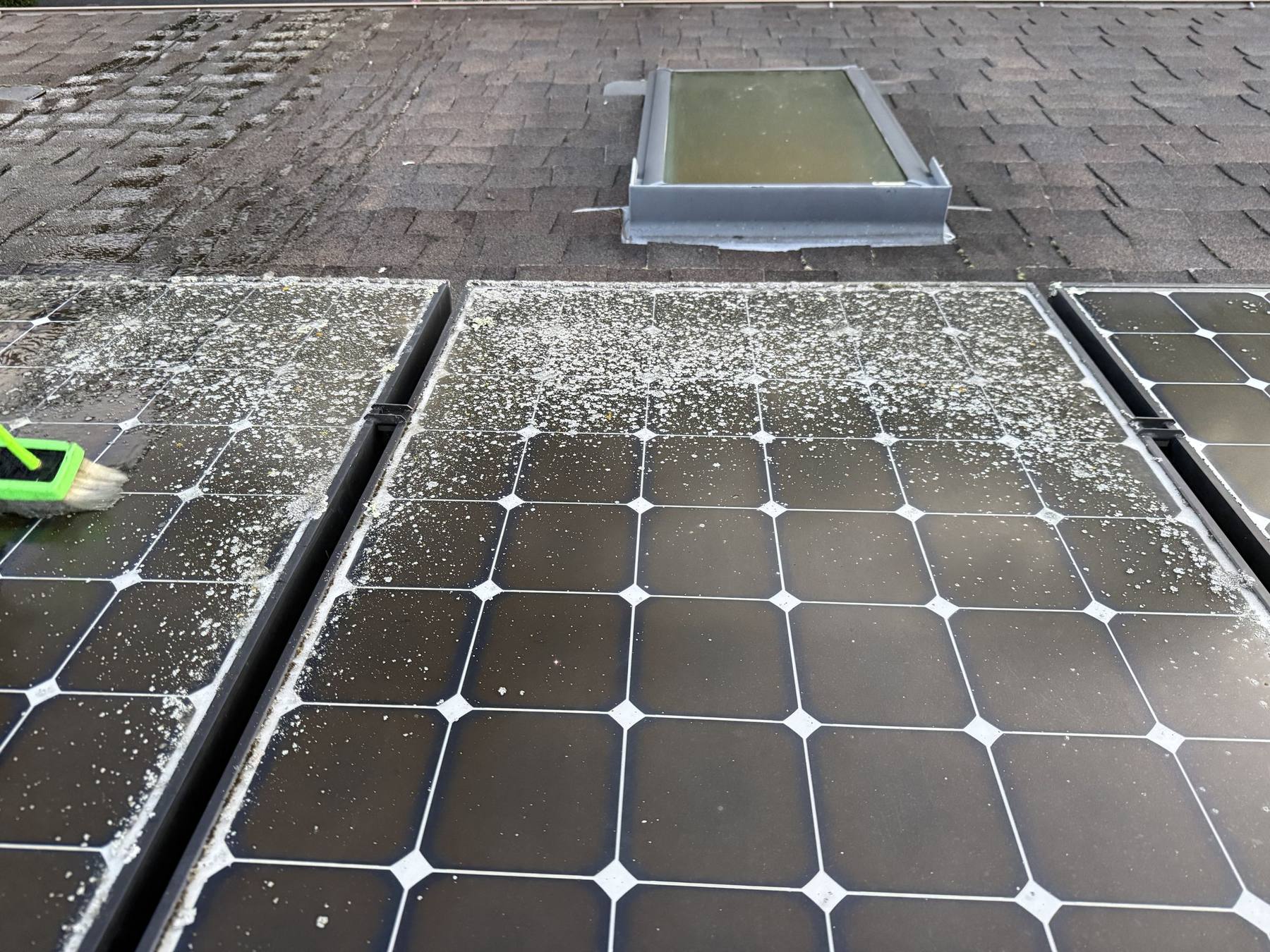 Close view of pollen and debris film across an uncleaned solar panel.