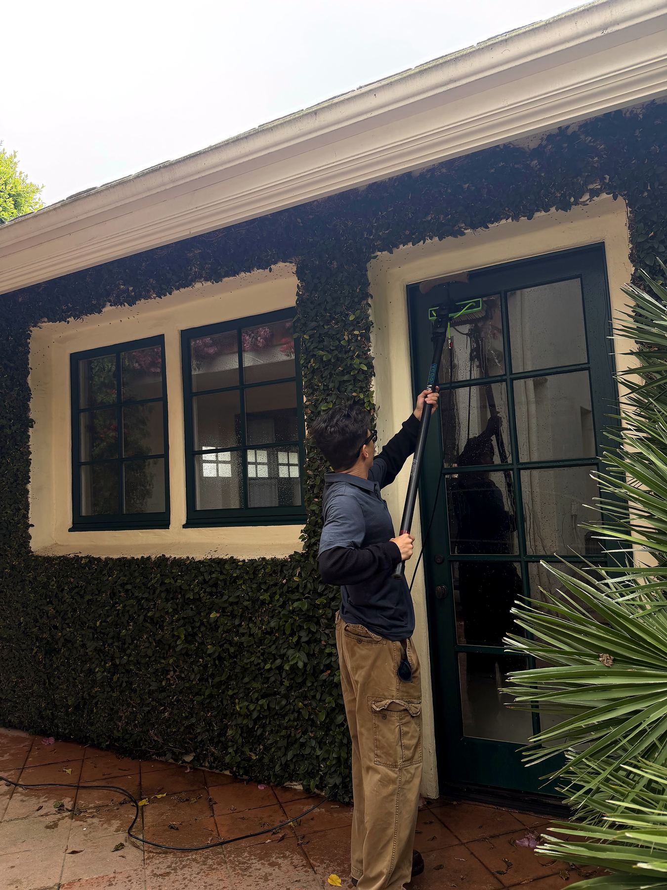 A Lavare technician cleaning the paned glass of a French door on an ivy-covered Montecito home with a water-fed pole.